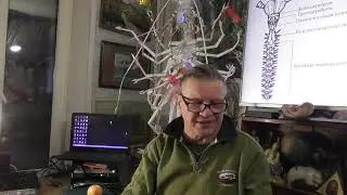 Радиочастотное восприятие разумных инсектоидов. Вячеслав Климов.  10.01.2025 г.