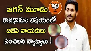 BJP Leaders sensational comments on Jagan 3 capitals formula | Central will not accepted 3 capitals?