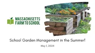 School Garden Management in the Summer