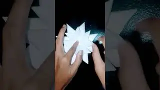 DIY floating lotus,✨✨