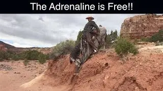 BLM Mustang Training: The Adrenaline Is Free For Humans - Horses Stay Cool Under Pressure!