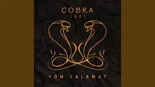 Y&ouml;n salamat