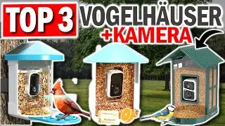 Top 3 VOGELHÄUSER MIT KAMERA 2026 | Top 3 Kamera-Vogelfutterspender