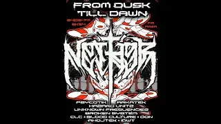 Nether - Live @ From dusk till dawn South France