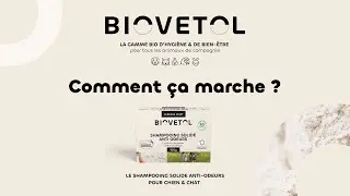 Conseils d'Expert #6 : Utilisation du Shampooing solide Anti-Odeurs Biovetol par Papouille kitten