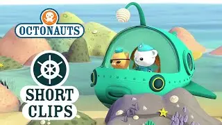 Octonauts - Getting Stuck In A Rock Pool | Short Clip | Sea Education for Kids