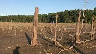 Lake Monticello Footage We Took While Doing The Draining of Lake Monticello Series