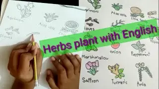 Herbs Plant Name With English (@ArtclubNajataraf)