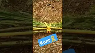 kont #kont #technical #amazing #diy #trending #youtube