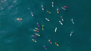 Flow by Luke Bergs background music