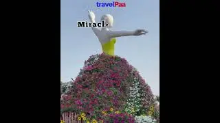 Unforgettable Dubai with travelPaa ✨ | Luxury Tours & Experiences