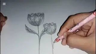 Beautiful flower aesthetic 🌼