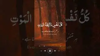 #Ya ibaadi allazina aamanoo #short #kuraanTilawat