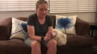 Pet Safety Light