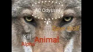 Assassin's Creed Odyssey : Wolf Cavern # Kill Alpha Animal