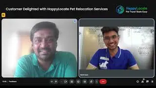 HappyLocate Pet Relocation | Seamless Domestic Pet Moving Experience