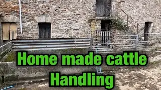 Home made cattle handling race, agricultural up cycling Episode 85