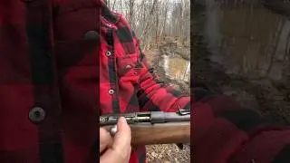 Cooey model 60