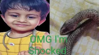 Daily Routine vlog/MMDG