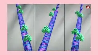 ## DNA fingerprinting knowledge explained few minutes ## biology student problem