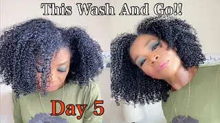 Reviewing Inahsi Hair Products with Wash and Go Hair Style | Type 4 Natural | Shirley Ann