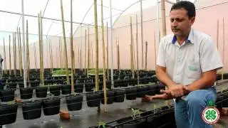 SEAL HORTIFRUTI - Sistema Integrado