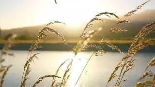 Relaxing Music: HAEVN- listen and relax.