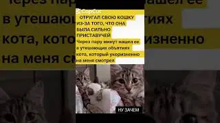 #memes #amigos #смехпродлеваетжизнь #смехпродлеваетжизнь #прикол #смешновидео #мем