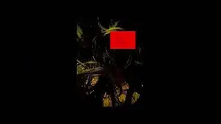 Snippet of the song WAR MACHINE for my new album SUKUP