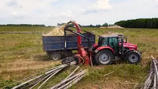 Massey Ferguson & Farmi Forest 381 biomass processing