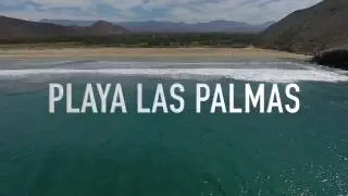 Playa Las Palmas