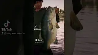 Fishing sim World pro tour #fishingsimworld #videogames #gameplay #simulator #gaming #subida