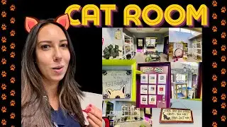 Cat Room: &aacute;rea gatificada exclusiva dos felinos