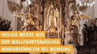 Heilige Messe aus der Wallfahrtskirche Maria Br&uuml;nnlein bei Wemding - 12.02.2026