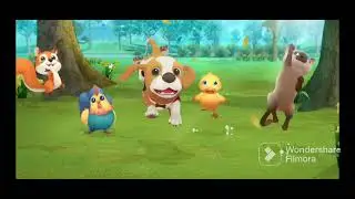 Puppy Pet