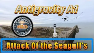 Antigravity A1 Drone vs Seagulls at Maryport Lighthouse