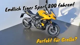 Das perfekte Motorrad für große Personen? | Triumph Tiger Sport 800 | Hier fühlen sich Bienen wohl