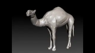 30 Minutes Zbrush Sculpting 100 Camel