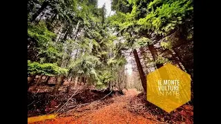 Il Monte Vulture in MTB #mtb #vulture #trail