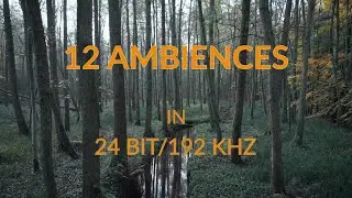 Field Recordings Sample-Pack (Free Download)