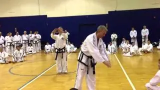 JucheTul-Taekwondo techniques   Mr  Gato and Grand Master Bos