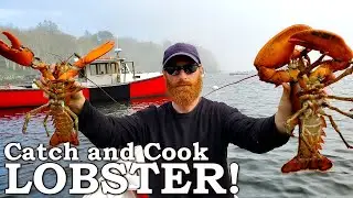 Giant Lobster Catch and Cook! | 100% Wild Food Survival Challenge