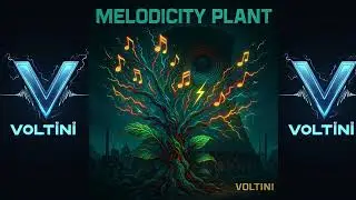Voltini - Electric (Melodicity Plant)