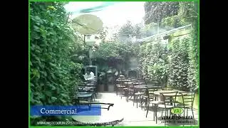 Best Fogging Systems in India for greenhouse, Tea Industries, Mushroom Farms