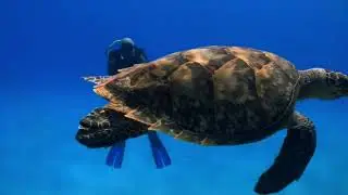 Relaxing music video, soothing music for sleep, study, work