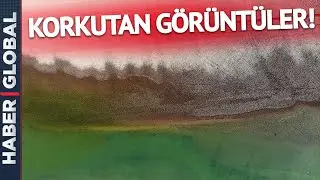 Dehşete Düşüren Görüntüler! Sular Çekilince Ortaya Çıktı