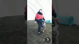 N&aacute;cvik chůze a vys&iacute;lačky