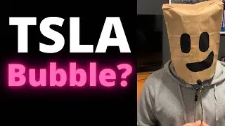 WILL TESLA CRASH IN 2021? - Michael Burry Shorts TSLA