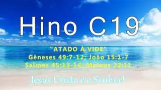 Hino C19 - 