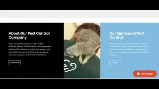 Pest Control Website Design, Pest Control Website Template, WIX Template, Pest Control Website Theme